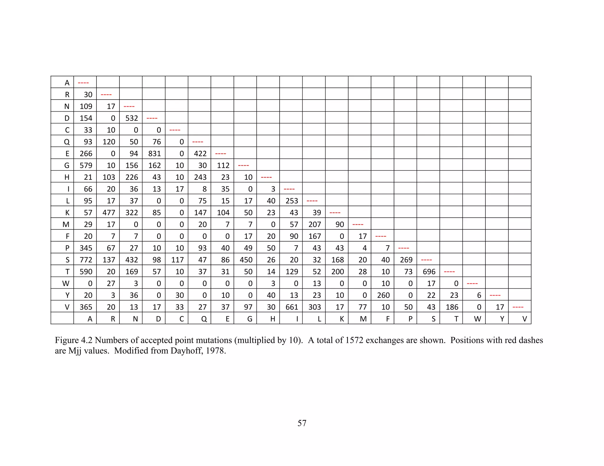 A  ‐‐‐‐                                       
R  30  ‐‐‐‐                                     
N  109  17  ‐‐‐‐                                   
D  154  0  532  ‐‐‐‐                                 
C  33  10  0  0  ‐‐‐‐                               
Q  93  120  50  76  0  ‐‐‐‐                             
E  266  0  94  831  0  422 ‐‐‐‐                           
G  579  10  156  162  10  30 112 ‐‐‐‐                         
H  21  103  226  43  10  243 23 10 ‐‐‐‐                       
I  66  20  36  13  17  8 35 0 3 ‐‐‐‐                     
L  95  17  37  0  0  75 15 17 40 253 ‐‐‐‐                   
K  57  477  322  85  0  147 104 50 23 43 39 ‐‐‐‐                 
M  29  17  0  0  0  20 7 7 0 57 207 90 ‐‐‐‐               
F  20  7  7  0  0  0 0 17 20 90 167 0 17  ‐‐‐‐             
P  345  67  27  10  10  93 40 49 50 7 43 43 4  7 ‐‐‐‐           
S  772  137  432  98  117  47 86 450 26 20 32 168 20  40 269 ‐‐‐‐         
T  590  20  169  57  10  37 31 50 14 129 52 200 28  10 73 696 ‐‐‐‐       
W  0  27  3  0  0  0 0 0 3 0 13 0 0  10 0 17 0 ‐‐‐‐     
Y  20  3  36  0  30  0 10 0 40 13 23 10 0  260 0 22 23 6 ‐‐‐‐   
V  365  20  13  17  33  27 37 97 30 661 303 17 77  10 50 43 186 0 17 ‐‐‐‐ 
  A  R  N  D  C  Q E G H I L K M  F P S T W Y V
Figure 4.2 Numbers of accepted point mutations (multiplied by 10). A total of 1572 exchanges are shown. Positions with red dashes
are Mjj values. Modified from Dayhoff, 1978.
57
 