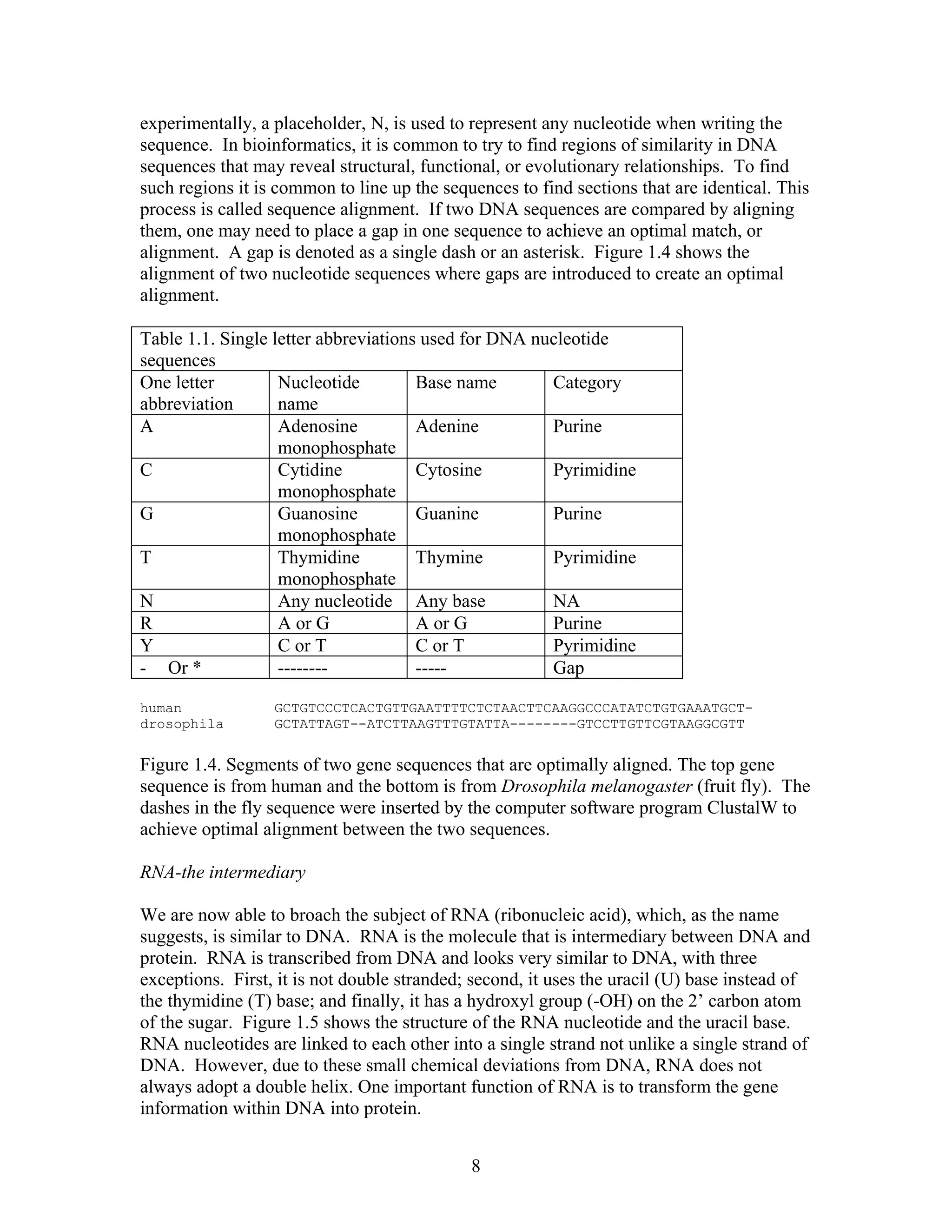 experimentally, a placeholder, N, is used to represent any nucleotide when writing the
sequence. In bioinformatics, it is common to try to find regions of similarity in DNA
sequences that may reveal structural, functional, or evolutionary relationships. To find
such regions it is common to line up the sequences to find sections that are identical. This
process is called sequence alignment. If two DNA sequences are compared by aligning
them, one may need to place a gap in one sequence to achieve an optimal match, or
alignment. A gap is denoted as a single dash or an asterisk. Figure 1.4 shows the
alignment of two nucleotide sequences where gaps are introduced to create an optimal
alignment.
Table 1.1. Single letter abbreviations used for DNA nucleotide
sequences
One letter
abbreviation
Nucleotide
name
Base name Category
A Adenosine
monophosphate
Adenine Purine
C Cytidine
monophosphate
Cytosine Pyrimidine
G Guanosine
monophosphate
Guanine Purine
T Thymidine
monophosphate
Thymine Pyrimidine
N Any nucleotide Any base NA
R A or G A or G Purine
Y C or T C or T Pyrimidine
- Or * -------- ----- Gap
human GCTGTCCCTCACTGTTGAATTTTCTCTAACTTCAAGGCCCATATCTGTGAAATGCT-
drosophila GCTATTAGT--ATCTTAAGTTTGTATTA--------GTCCTTGTTCGTAAGGCGTT
Figure 1.4. Segments of two gene sequences that are optimally aligned. The top gene
sequence is from human and the bottom is from Drosophila melanogaster (fruit fly). The
dashes in the fly sequence were inserted by the computer software program ClustalW to
achieve optimal alignment between the two sequences.
RNA-the intermediary
We are now able to broach the subject of RNA (ribonucleic acid), which, as the name
suggests, is similar to DNA. RNA is the molecule that is intermediary between DNA and
protein. RNA is transcribed from DNA and looks very similar to DNA, with three
exceptions. First, it is not double stranded; second, it uses the uracil (U) base instead of
the thymidine (T) base; and finally, it has a hydroxyl group (-OH) on the 2’ carbon atom
of the sugar. Figure 1.5 shows the structure of the RNA nucleotide and the uracil base.
RNA nucleotides are linked to each other into a single strand not unlike a single strand of
DNA. However, due to these small chemical deviations from DNA, RNA does not
always adopt a double helix. One important function of RNA is to transform the gene
information within DNA into protein.
8
 