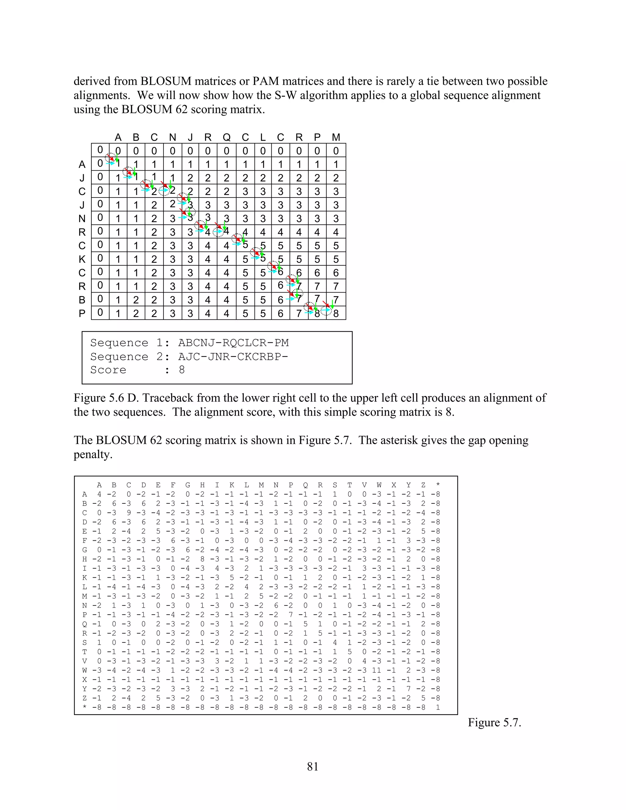 derived from BLOSUM matrices or PAM matrices and there is rarely a tie between two possible
alignments. We will now show how the S-W algorithm applies to a global sequence alignment
using the BLOSUM 62 scoring matrix.
A B C N J R Q C L C R P M
0 0 0 0 0 0 0 0 0 0 0 0 0 0
A 0 1 1 1 1 1 1 1 1 1 1 1 1 1
J 0 1 1 1 1 2 2 2 2 2 2 2 2 2
C 0 1 1 2 2 2 2 2 3 3 3 3 3 3
J 0 1 1 2 2 3 3 3 3 3 3 3 3 3
N 0 1 1 2 3 3 3 3 3 3 3 3 3 3
R 0 1 1 2 3 3 4 4 4 4 4 4 4 4
C 0 1 1 2 3 3 4 4 5 5 5 5 5 5
K 0 1 1 2 3 3 4 4 5 5 5 5 5 5
C 0 1 1 2 3 3 4 4 5 5 6 6 6 6
R 0 1 1 2 3 3 4 4 5 5 6 7 7 7
B 0 1 2 2 3 3 4 4 5 5 6 7 7 7
P 0 1 2 2 3 3 4 4 5 5 6 7 8 8
Sequence 1: ABCNJ-RQCLCR-PM
Sequence 2: AJC-JNR-CKCRBP-
Score : 8
Figure 5.6 D. Traceback from the lower right cell to the upper left cell produces an alignment of
the two sequences. The alignment score, with this simple scoring matrix is 8.
The BLOSUM 62 scoring matrix is shown in Figure 5.7. The asterisk gives the gap opening
penalty.
A B C D E F G H I K L M N P Q R S T V W X Y Z *
A 4 -2 0 -2 -1 -2 0 -2 -1 -1 -1 -1 -2 -1 -1 -1 1 0 0 -3 -1 -2 -1 -8
B -2 6 -3 6 2 -3 -1 -1 -3 -1 -4 -3 1 -1 0 -2 0 -1 -3 -4 -1 -3 2 -8
C 0 -3 9 -3 -4 -2 -3 -3 -1 -3 -1 -1 -3 -3 -3 -3 -1 -1 -1 -2 -1 -2 -4 -8
D -2 6 -3 6 2 -3 -1 -1 -3 -1 -4 -3 1 -1 0 -2 0 -1 -3 -4 -1 -3 2 -8
E -1 2 -4 2 5 -3 -2 0 -3 1 -3 -2 0 -1 2 0 0 -1 -2 -3 -1 -2 5 -8
F -2 -3 -2 -3 -3 6 -3 -1 0 -3 0 0 -3 -4 -3 -3 -2 -2 -1 1 -1 3 -3 -8
G 0 -1 -3 -1 -2 -3 6 -2 -4 -2 -4 -3 0 -2 -2 -2 0 -2 -3 -2 -1 -3 -2 -8
H -2 -1 -3 -1 0 -1 -2 8 -3 -1 -3 -2 1 -2 0 0 -1 -2 -3 -2 -1 2 0 -8
I -1 -3 -1 -3 -3 0 -4 -3 4 -3 2 1 -3 -3 -3 -3 -2 -1 3 -3 -1 -1 -3 -8
K -1 -1 -3 -1 1 -3 -2 -1 -3 5 -2 -1 0 -1 1 2 0 -1 -2 -3 -1 -2 1 -8
L -1 -4 -1 -4 -3 0 -4 -3 2 -2 4 2 -3 -3 -2 -2 -2 -1 1 -2 -1 -1 -3 -8
M -1 -3 -1 -3 -2 0 -3 -2 1 -1 2 5 -2 -2 0 -1 -1 -1 1 -1 -1 -1 -2 -8
N -2 1 -3 1 0 -3 0 1 -3 0 -3 -2 6 -2 0 0 1 0 -3 -4 -1 -2 0 -8
P -1 -1 -3 -1 -1 -4 -2 -2 -3 -1 -3 -2 -2 7 -1 -2 -1 -1 -2 -4 -1 -3 -1 -8
Q -1 0 -3 0 2 -3 -2 0 -3 1 -2 0 0 -1 5 1 0 -1 -2 -2 -1 -1 2 -8
R -1 -2 -3 -2 0 -3 -2 0 -3 2 -2 -1 0 -2 1 5 -1 -1 -3 -3 -1 -2 0 -8
S 1 0 -1 0 0 -2 0 -1 -2 0 -2 -1 1 -1 0 -1 4 1 -2 -3 -1 -2 0 -8
T 0 -1 -1 -1 -1 -2 -2 -2 -1 -1 -1 -1 0 -1 -1 -1 1 5 0 -2 -1 -2 -1 -8
V 0 -3 -1 -3 -2 -1 -3 -3 3 -2 1 1 -3 -2 -2 -3 -2 0 4 -3 -1 -1 -2 -8
W -3 -4 -2 -4 -3 1 -2 -2 -3 -3 -2 -1 -4 -4 -2 -3 -3 -2 -3 11 -1 2 -3 -8
X -1 -1 -1 -1 -1 -1 -1 -1 -1 -1 -1 -1 -1 -1 -1 -1 -1 -1 -1 -1 -1 -1 -1 -8
Y -2 -3 -2 -3 -2 3 -3 2 -1 -2 -1 -1 -2 -3 -1 -2 -2 -2 -1 2 -1 7 -2 -8
Z -1 2 -4 2 5 -3 -2 0 -3 1 -3 -2 0 -1 2 0 0 -1 -2 -3 -1 -2 5 -8
* -8 -8 -8 -8 -8 -8 -8 -8 -8 -8 -8 -8 -8 -8 -8 -8 -8 -8 -8 -8 -8 -8 -8 1
Figure 5.7.
81
 