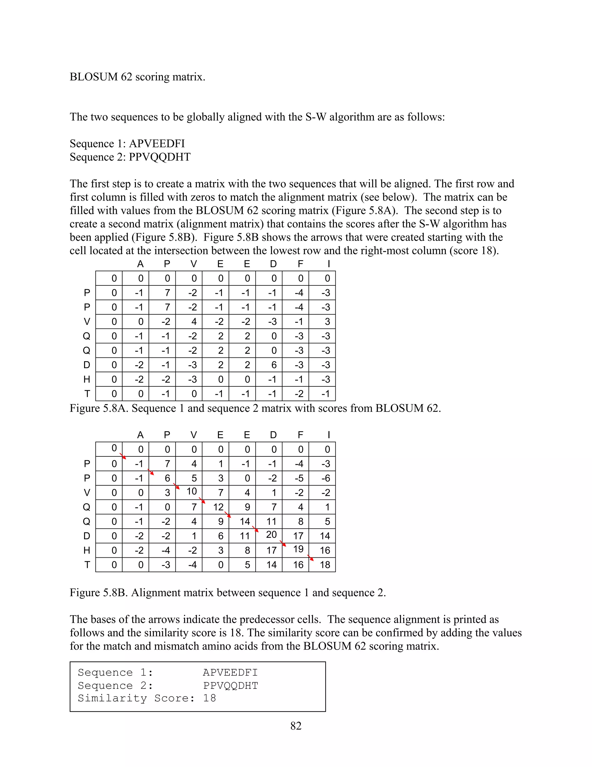 BLOSUM 62 scoring matrix.
he two sequences to be globally aligned with the S-W algorithm are as follows:
equence 2: PPVQQDHT
cell locate at in c n b ee the wes ow a d the right-most column (score 18).
T
Sequence 1: APVEEDFI
S
The first step is to create a matrix with the two sequences that will be aligned. The first row and
first column is filled with zeros to match the alignment matrix (see below). The matrix can be
filled with values from the BLOSUM 62 scoring matrix (Figure 5.8A). The second step is to
create a second matrix (alignment matrix) that contains the scores after the S-W algorithm has
been applied (Figure 5.8B). Figure 5.8B shows the arrows that were created starting with the
d the terse tio etw n lo t r n
A P V E E D F I
0 0 0 0 0 0 0 0 0
P 0 -1 7 -2 -1 -1 -1 -4 -3
P 0 -1 7 -2 -1 -1 -1 -4 -3
V 0 0 -2 4 -2 -2 -3 -1 3
Q 0 -1 -1 -2 2 2 0 -3 -3
Q 0 -1 -1 -2 2 2 0 -3 -3
D 0 -2 -1 -3 2 2 6 -3 -3
H 0 -2 -2 -3 0 0 -1 -1 -3
T 0 0 -1 0 -1 -1 -1 -2 -1
Figure 5.8A. Sequence 1 and sequence 2 matrix with scores from BLOSUM 62.
A P V E E D F I
0 0 0 0 0 0 0 0 0
P 0 -1 7 4 1 -1 -1 -4 -3
P 0 -1 6 5 3 0 -2 -5 -6
V 0 0 3 10 7 4 1 -2 -2
Q 0 -1 0 7 12 9 7 4 1
Q 0 -1 -2 4 9 14 11 8 5
D 0 -2 -2 1 6 11 20 17 14
H 0 -2 -4 -2 3 8 17 19 16
T 0 0 -3 -4 0 5 14 1816
Figure 5.8B. Alignment matrix between sequence 1 and sequence 2.
dding the values
for the match and mismatch amino acids from the BLOSUM 62 scoring matrix.
The bases of the arrows indicate the predecessor cells. The sequence alignment is printed as
follows and the similarity score is 18. The similarity score can be confirmed by a
Sequence 1: APVEEDFI
Sequence 2: PPVQQDHT
Similarity Score: 18
82
 