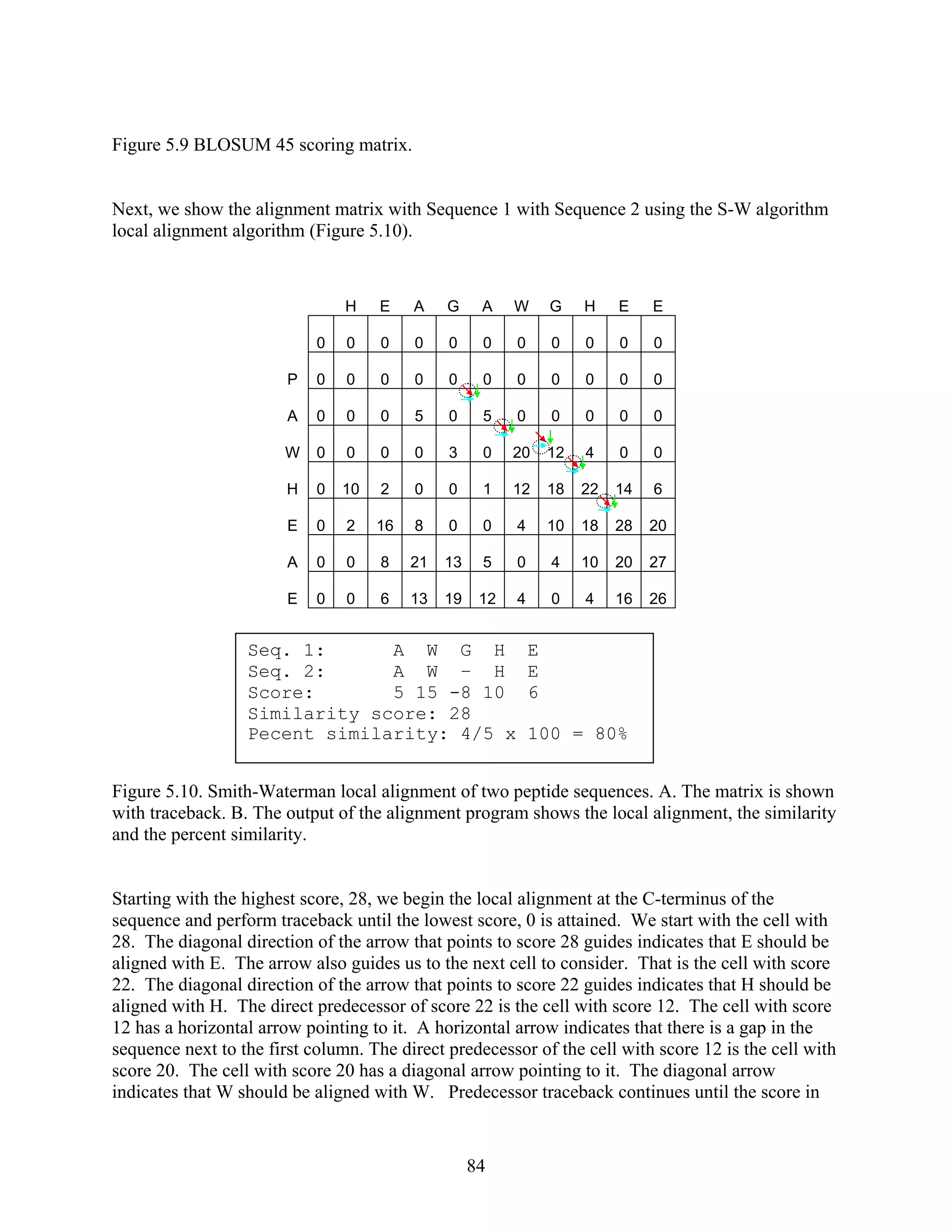 Figure 5.9 BLOSUM 45 scoring matrix.
equence 1 with Sequence 2 using the S-W algorithm
cal alignment algorithm (Figure 5.10).
H E A G A W G H E E
0 0 0 0 0 0 0 0 0 0
Next, we show the alignment matrix with S
lo
0
P 0 0 0 0 0 0 0 0 00 0
A 0 0 5 0 0 00 5 0 0 0
W 0 0 0 3 0 20 12 00 4 0
H 10 2 0 0 1 12 18 22 14 60
E 2 16 8 0 0 4 10 18 28 200
A 0 8 21 13 5 0 4 10 20 270
E 0 0 6 13 19 12 4 0 4 16 26
Figure 5.10. Smith-Waterman local alignment of two peptide sequences. A. The matrix is shown
with traceback. B. The outp
Seq. 1: A W G H E
Seq. 2: A W – H E
Score: 5 15 -8 10 6
Pecent similarity: 4/5 x 100 = 80%
Similarity score: 28
ut of the alignment program shows the local alignment, the similarity
nd the percent similarity.
e
ll with
indicates that W should be aligned with W. Predecessor traceback continues until the score in
a
Starting with the highest score, 28, we begin the local alignment at the C-terminus of the
sequence and perform traceback until the lowest score, 0 is attained. We start with the cell with
28. The diagonal direction of the arrow that points to score 28 guides indicates that E should be
aligned with E. The arrow also guides us to the next cell to consider. That is the cell with score
22. The diagonal direction of the arrow that points to score 22 guides indicates that H should be
aligned with H. The direct predecessor of score 22 is the cell with score 12. The cell with scor
12 has a horizontal arrow pointing to it. A horizontal arrow indicates that there is a gap in the
sequence next to the first column. The direct predecessor of the cell with score 12 is the ce
score 20. The cell with score 20 has a diagonal arrow pointing to it. The diagonal arrow
84
 