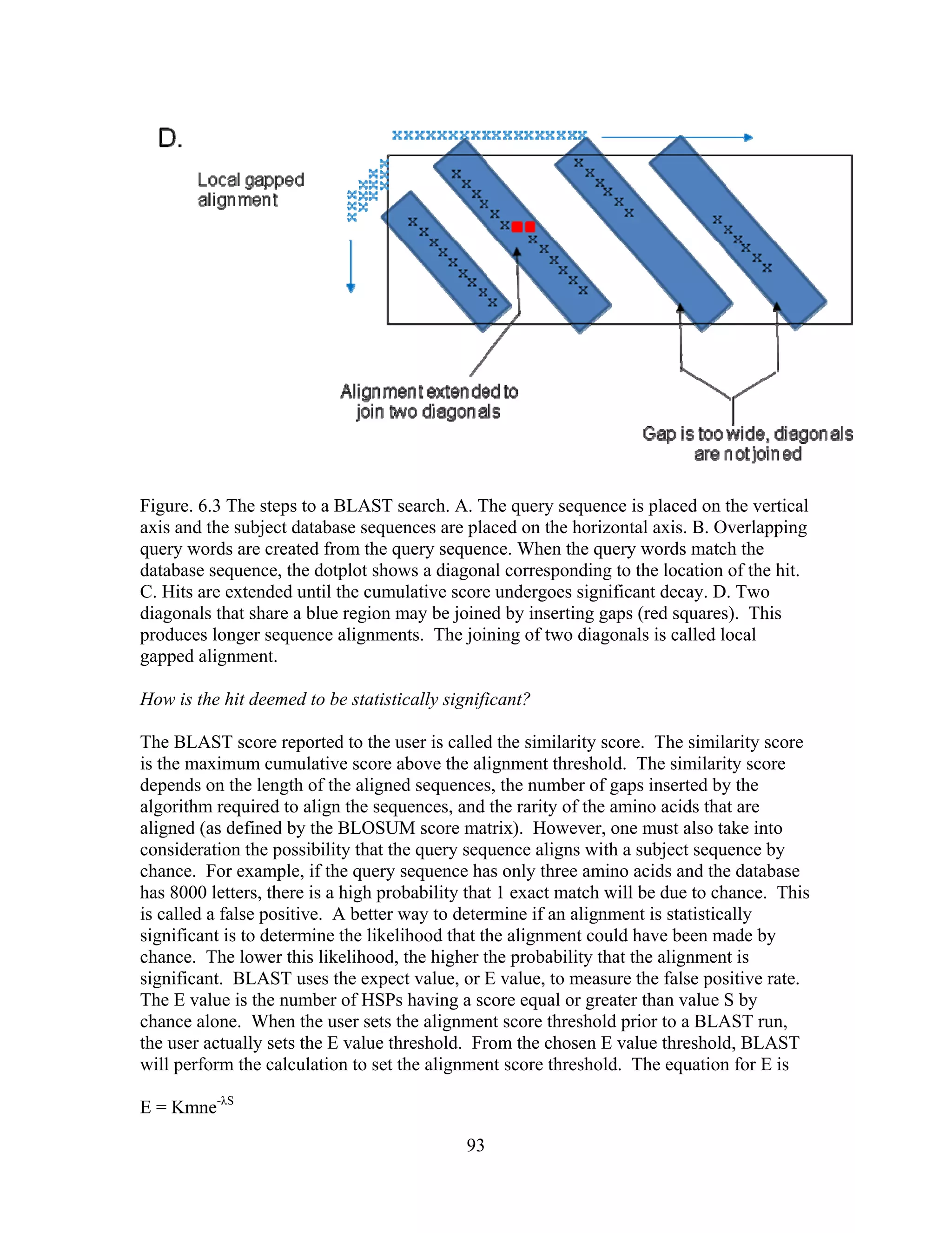 Figure. 6.3 The steps to a BLAST search. A. The query sequence is placed on the vertical
axis and the subject database sequences are placed on the horizontal axis. B. Overlapping
query words are created from the query sequence. When the query words match the
database sequence, the dotplot shows a diagonal corresponding to the location of the hit.
C. Hits are extended until the cumulative score undergoes significant decay. D. Two
diagonals that share a blue region may be joined by inserting gaps (red squares). This
produces longer sequence alignments. The joining of two diagonals is called local
gapped alignment.
How is the hit deemed to be statistically significant?
The BLAST score reported to the user is called the similarity score. The similarity score
is the maximum cumulative score above the alignment threshold. The similarity score
depends on the length of the aligned sequences, the number of gaps inserted by the
algorithm required to align the sequences, and the rarity of the amino acids that are
aligned (as defined by the BLOSUM score matrix). However, one must also take into
consideration the possibility that the query sequence aligns with a subject sequence by
chance. For example, if the query sequence has only three amino acids and the database
has 8000 letters, there is a high probability that 1 exact match will be due to chance. This
is called a false positive. A better way to determine if an alignment is statistically
significant is to determine the likelihood that the alignment could have been made by
chance. The lower this likelihood, the higher the probability that the alignment is
significant. BLAST uses the expect value, or E value, to measure the false positive rate.
The E value is the number of HSPs having a score equal or greater than value S by
chance alone. When the user sets the alignment score threshold prior to a BLAST run,
the user actually sets the E value threshold. From the chosen E value threshold, BLAST
will perform the calculation to set the alignment score threshold. The equation for E is
E = Kmne-λS
93
 