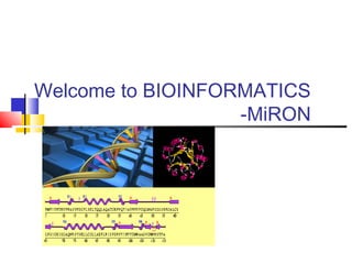 Welcome to BIOINFORMATICS
                   -MiRON
 