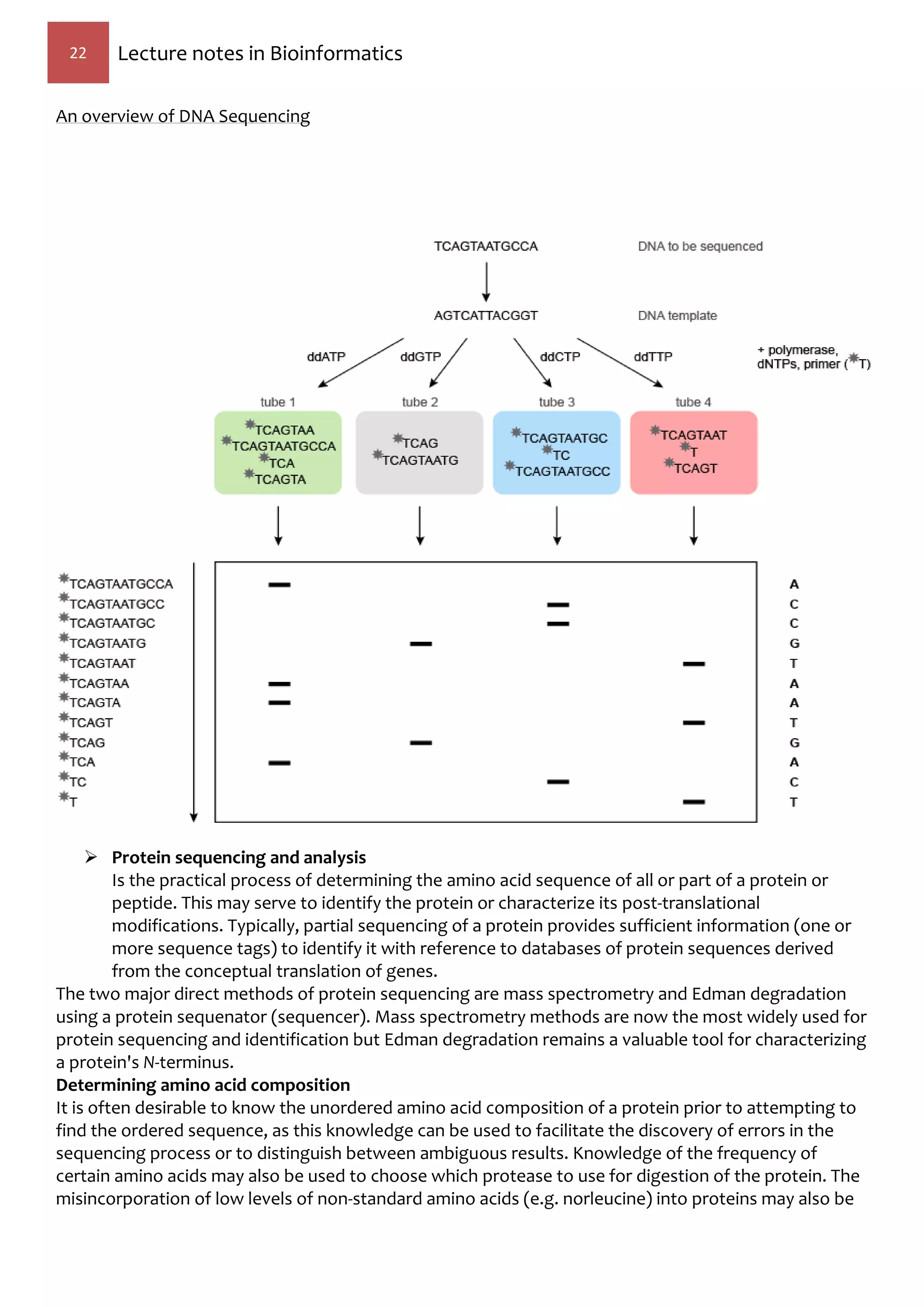 22 Lecture notes in Bioinformatics
An overview of DNA Sequencing
 Protein sequencing and analysis
Is the practical process of determining the amino acid sequence of all or part of a protein or
peptide. This may serve to identify the protein or characterize its post-translational
modifications. Typically, partial sequencing of a protein provides sufficient information (one or
more sequence tags) to identify it with reference to databases of protein sequences derived
from the conceptual translation of genes.
The two major direct methods of protein sequencing are mass spectrometry and Edman degradation
using a protein sequenator (sequencer). Mass spectrometry methods are now the most widely used for
protein sequencing and identification but Edman degradation remains a valuable tool for characterizing
a protein's N-terminus.
Determining amino acid composition
It is often desirable to know the unordered amino acid composition of a protein prior to attempting to
find the ordered sequence, as this knowledge can be used to facilitate the discovery of errors in the
sequencing process or to distinguish between ambiguous results. Knowledge of the frequency of
certain amino acids may also be used to choose which protease to use for digestion of the protein. The
misincorporation of low levels of non-standard amino acids (e.g. norleucine) into proteins may also be
 