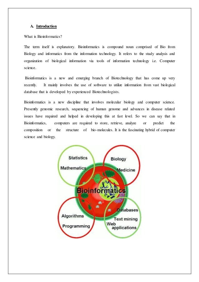 Bioinformatics On Internet
