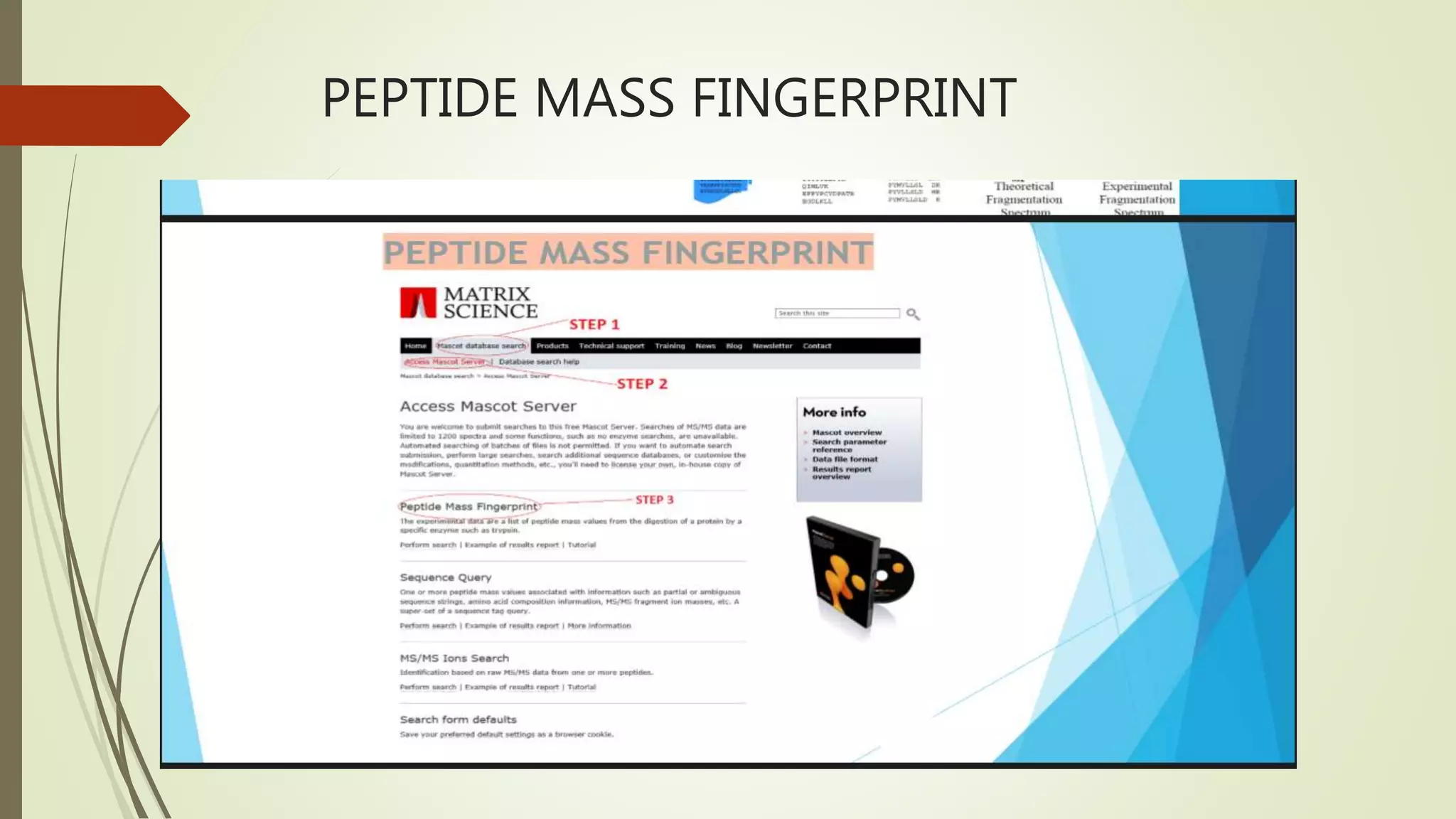 PEPTIDE MASS FINGERPRINT
 