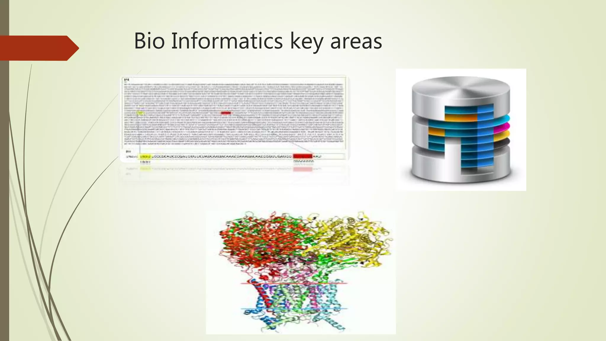 Bio Informatics key areas
 
