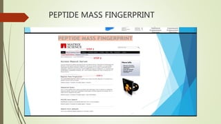 PEPTIDE MASS FINGERPRINT
 