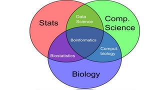 Bioinformatics ppt | PPT