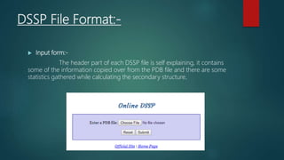 Dspfd File Syntax R.P Maurya ppt on C C D C & DSSP(Bioinformatics) | PPTX