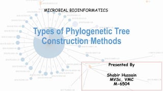 Types of Phylogenetic Tree
Construction Methods
Presented By
Shabir Hussain
MVSc, VMC
M-6504
MICROBIAL BIOINFORMATICS
 