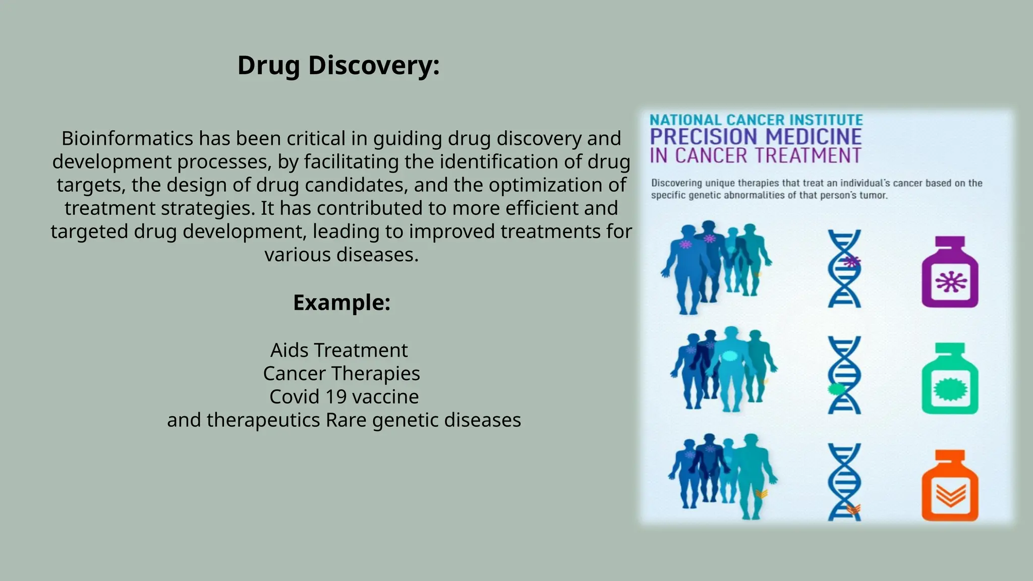 Drug Discovery:
Bioinformatics has been critical in guiding drug discovery and
development processes, by facilitating the identification of drug
targets, the design of drug candidates, and the optimization of
treatment strategies. It has contributed to more efficient and
targeted drug development, leading to improved treatments for
various diseases.
Example:
Aids Treatment
Cancer Therapies
Covid 19 vaccine
and therapeutics Rare genetic diseases
 