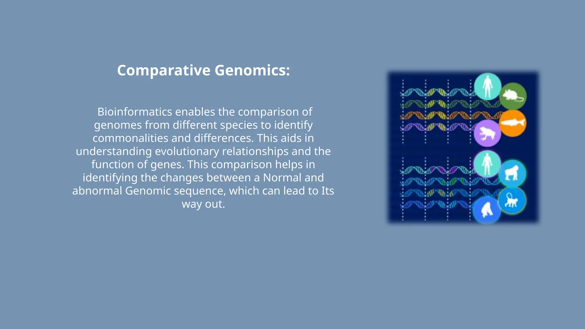 Comparative Genomics:
Bioinformatics enables the comparison of
genomes from different species to identify
commonalities and differences. This aids in
understanding evolutionary relationships and the
function of genes. This comparison helps in
identifying the changes between a Normal and
abnormal Genomic sequence, which can lead to Its
way out.
 