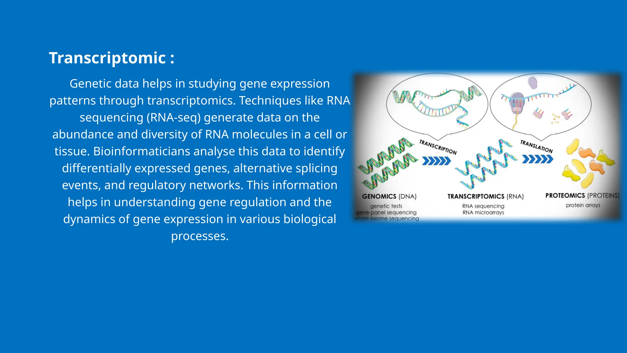 Transcriptomic :
Genetic data helps in studying gene expression
patterns through transcriptomics. Techniques like RNA
sequencing (RNA-seq) generate data on the
abundance and diversity of RNA molecules in a cell or
tissue. Bioinformaticians analyse this data to identify
differentially expressed genes, alternative splicing
events, and regulatory networks. This information
helps in understanding gene regulation and the
dynamics of gene expression in various biological
processes.
 