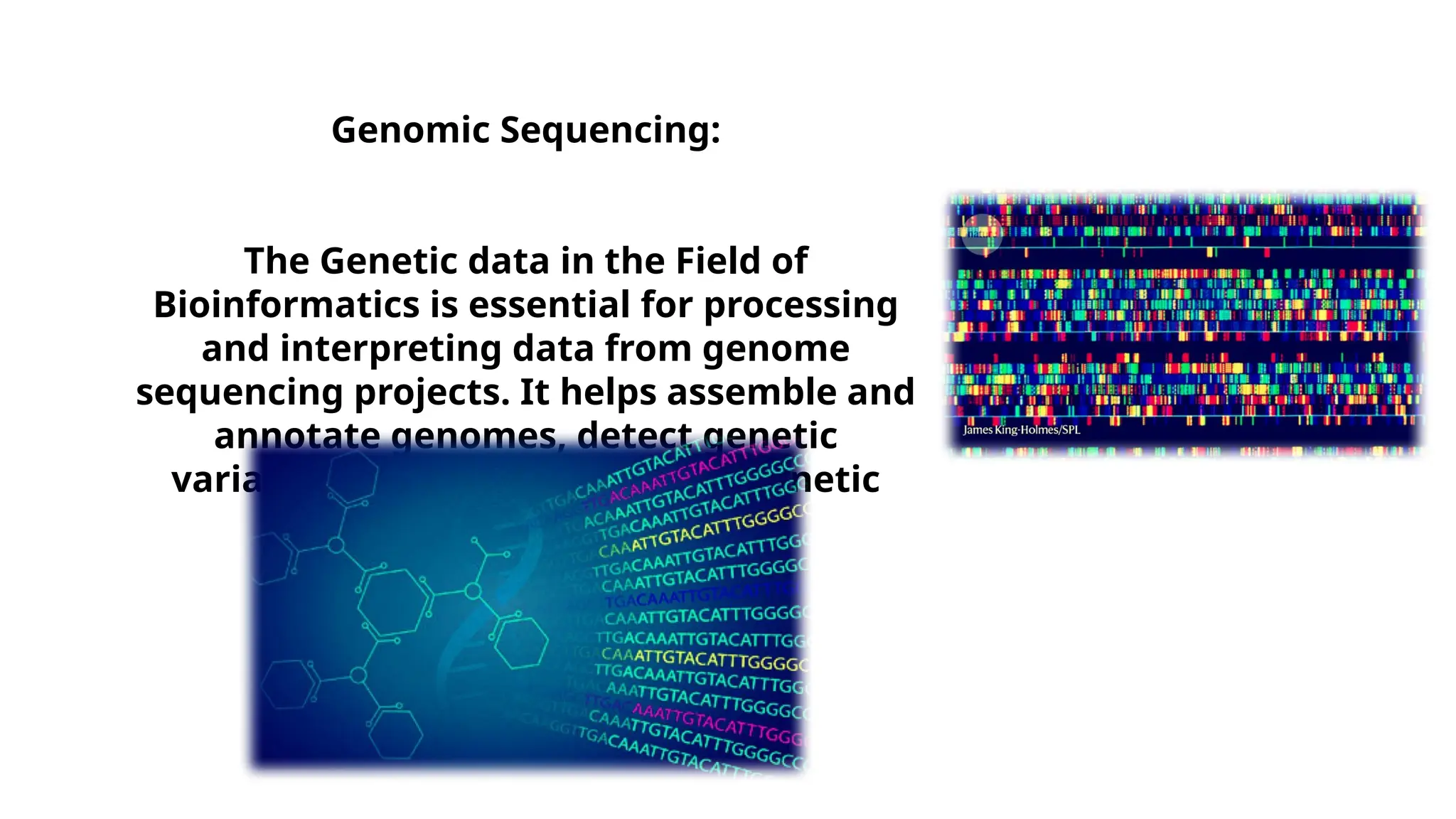 Genomic Sequencing:
The Genetic data in the Field of
Bioinformatics is essential for processing
and interpreting data from genome
sequencing projects. It helps assemble and
annotate genomes, detect genetic
variations, and understand the genetic
basis of diseases.
 