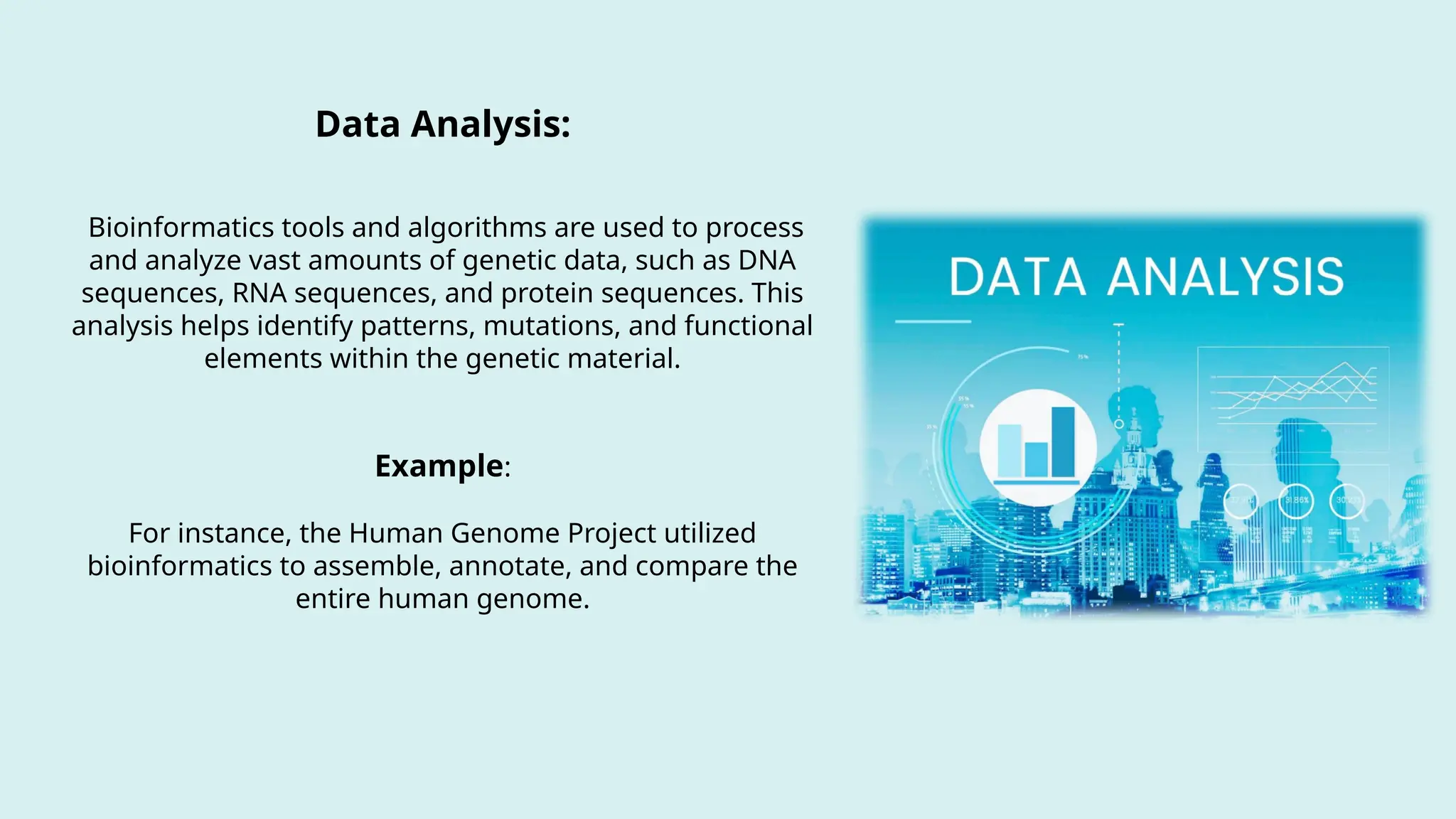 Data Analysis:
Bioinformatics tools and algorithms are used to process
and analyze vast amounts of genetic data, such as DNA
sequences, RNA sequences, and protein sequences. This
analysis helps identify patterns, mutations, and functional
elements within the genetic material.
Example:
For instance, the Human Genome Project utilized
bioinformatics to assemble, annotate, and compare the
entire human genome.
 
