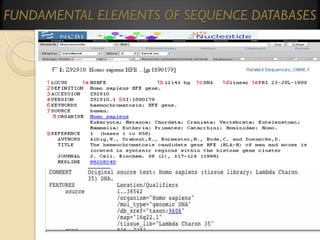 FUNDAMENTAL ELEMENTS OF SEQUENCE DATABASES

 