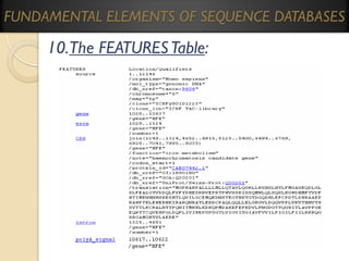 FUNDAMENTAL ELEMENTS OF SEQUENCE DATABASES

10.The FEATURES Table:

 
