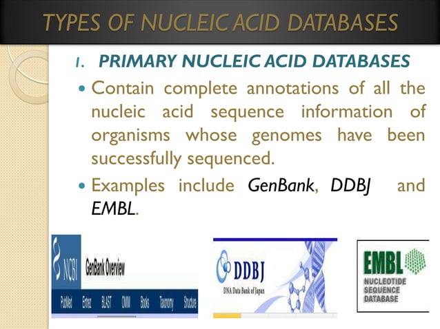 Bioinformatics principles and applications | PDF