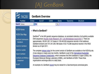 [A] GenBank

 
