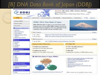 [B] DNA Data Bank of Japan (DDBJ)

 