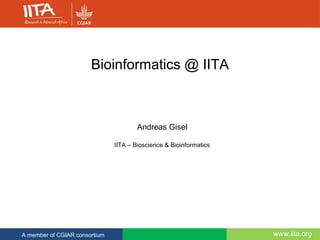 www.iita.orgA member of CGIAR consortium
Bioinformatics @ IITA
Andreas Gisel
IITA – Bioscience & Bioinformatics
 