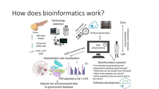 How does bioinformatics work?
 