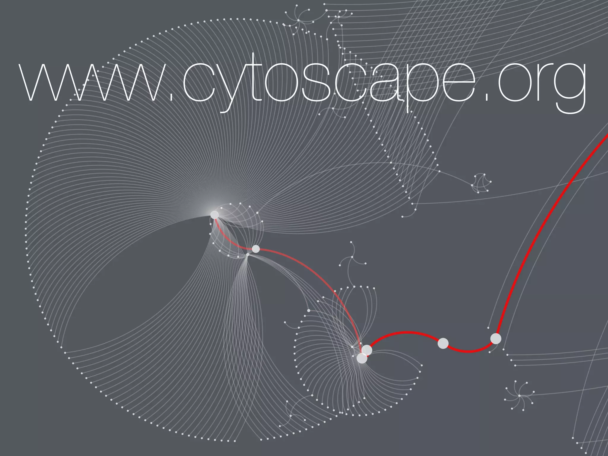 www.cytoscape.org
 