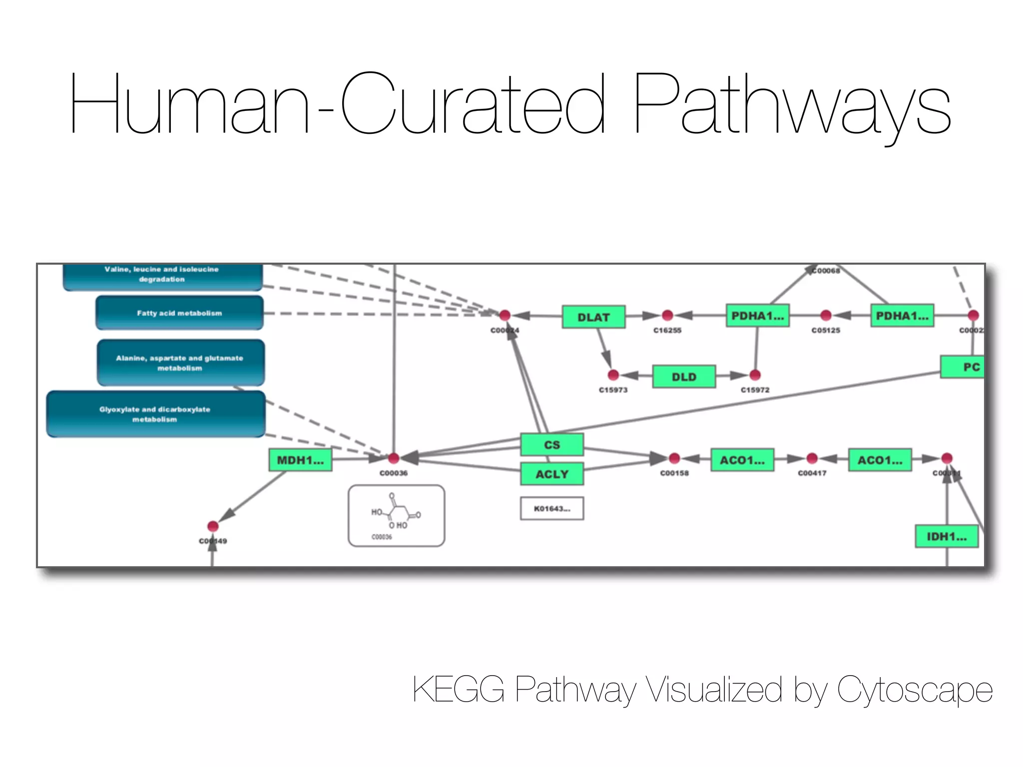 Human-Curated Pathways
KEGG Pathway Visualized by Cytoscape
 