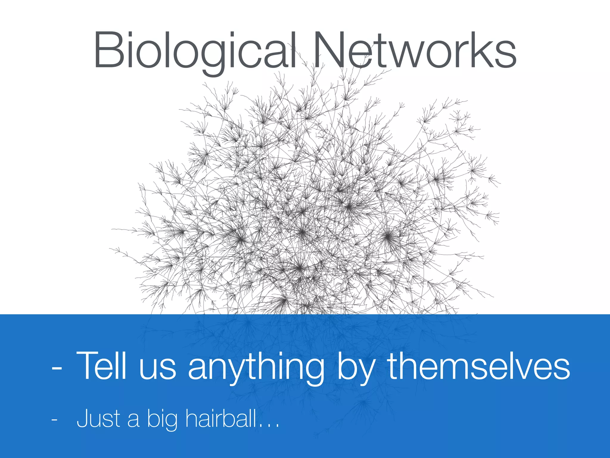 Biological Networks
- Tell us anything by themselves
- Just a big hairball…
 