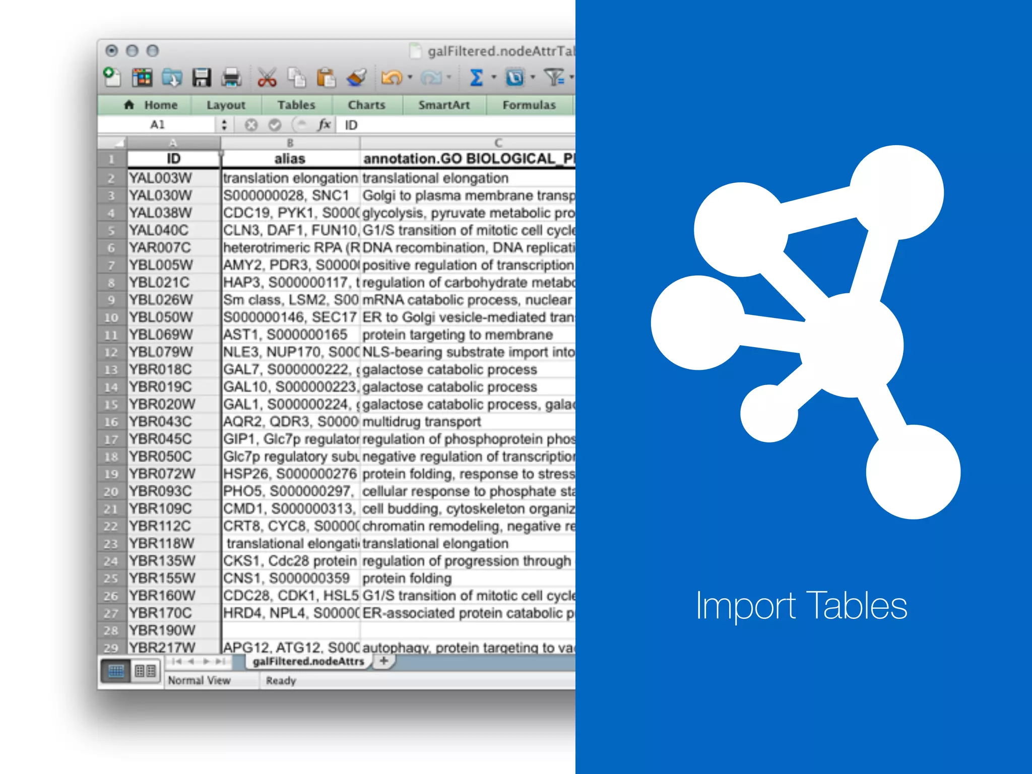 Import Tables
 