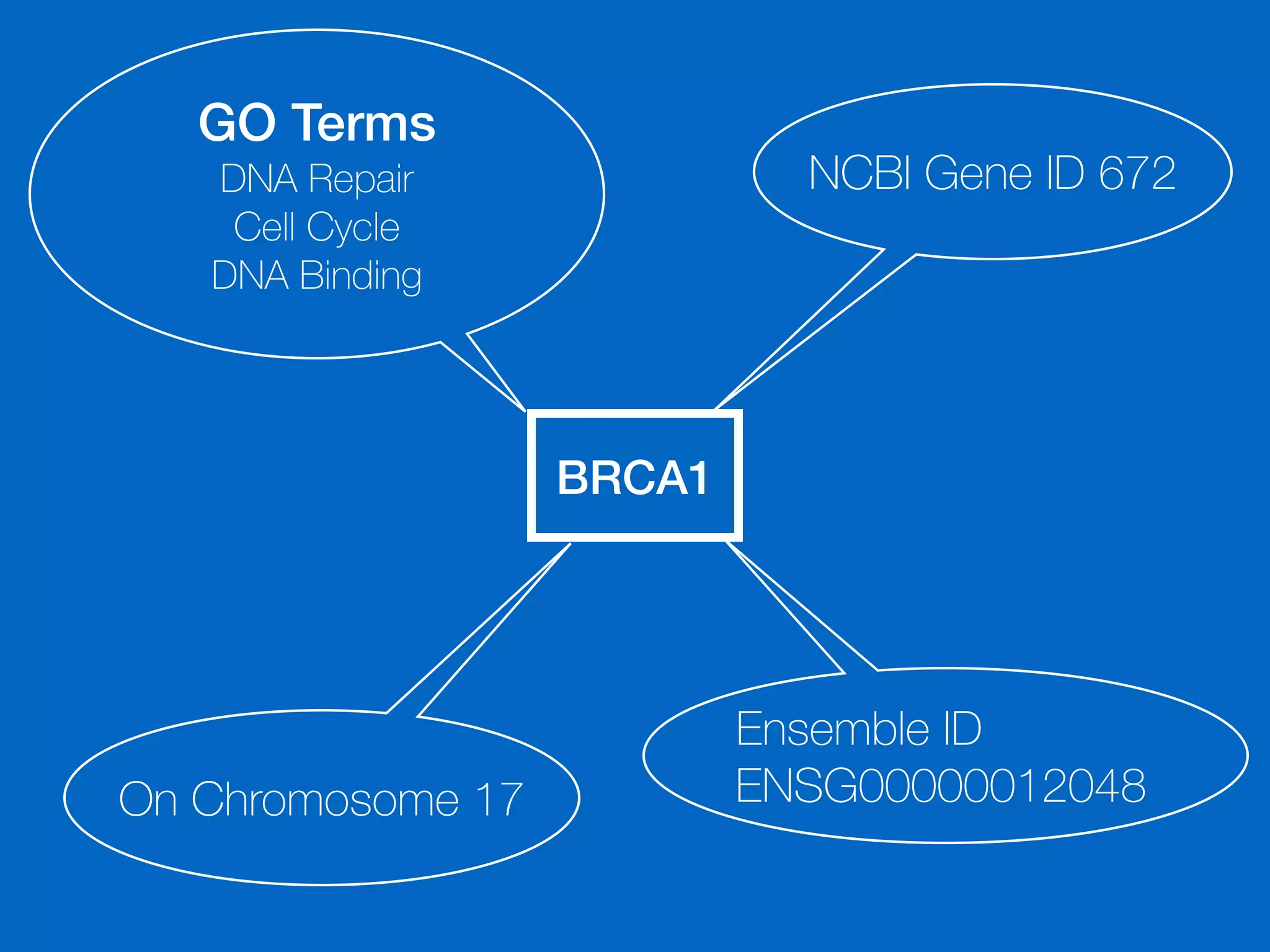 NCBI Gene ID 672
On Chromosome 17
GO Terms
DNA Repair
Cell Cycle
DNA Binding
Ensemble ID
ENSG00000012048
BRCA1
 