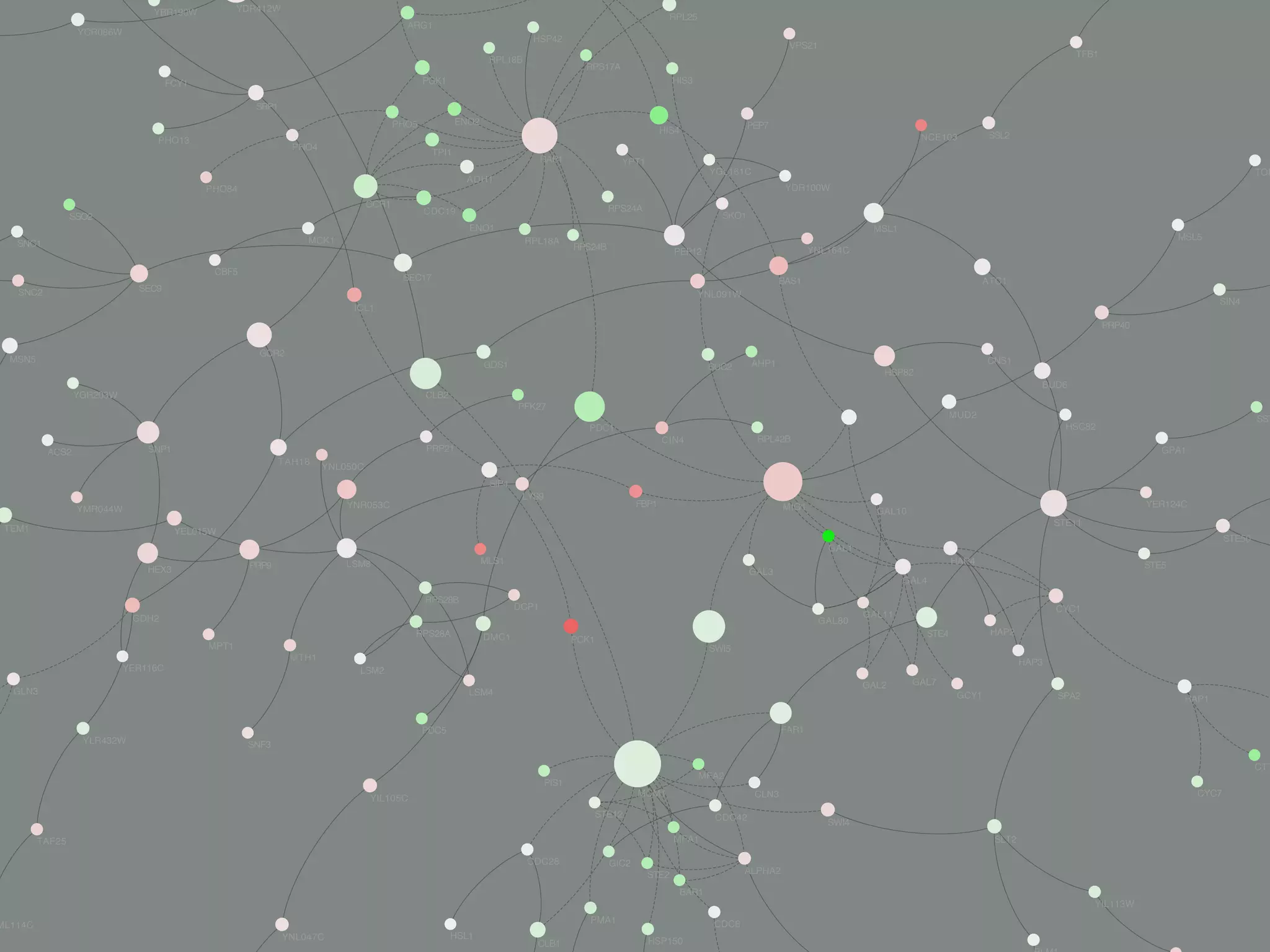 YBR190W
YCR086W
YNL050C
ACS2 SNP1 PRP21
TAH18
SIP4
PGK1
RPS17A
RPL18B
HSP42
ARG1
FCY1
SRP1
MCK1
YDR412W
PHO13
PHO4
PHO84
RPS24B
PDC1
RPL18A
RPS24A
PFK27
YPT1RAP1
ENO1
SEC17
GCR1
PHO5
GDS1
TPI1
CLB2
ADH1
CDC19
ENO2
ICL1
MSN5
SNC2 SEC9
CBF5
SNC1
SSO2
YGR203W
GCR2
YNL047C
CLB1
HSL1
ML114C
PMA1
HSP150
CDC6
YIL113W
SSL2
VPS21
RPL25
HIS3
HIS4
PEP7
TFB1
NCE103
SIN4
GPA1
MSL5
ATC1
SST
CNS1
PRP40
TOR
BUD6
HSC82
MSL1
BAS1
YGL161C
SKO1
PEP12
YDR100W
YNL164C
YNL091W
SUC2
RPL42B
HSP82
MUD2
AHP1
CIN4
PIS1
CTT
CYC7CLN3
SLT2
CDC42
MFA2
MCM1
MFA1
STE12
SWI4
FBP1
LYS9
DMC1
MLS1
DCP1
PCK1
GAL3
SWI5
GAL1
MIG1
GAL80
FAR1
GAL11
GAL10
HAP4
GAL4
GAL7
STE4
GAL2
GCY1
HEX3
LSM8
YEL015W
PRP9
TEM1
YMR044W YNR053C
TAF25
MTH1
MPT1
GDH2
YER116C
SNF3YLR432W
GLN3
PDC5
YIL105C
RPS28B
RPS28A
LSM4
LSM2
HAP1
STE11
SPA2
STE50
STE5
CYC1
HAP3
YER124C
HAP2
GIC2CDC28
STE2
BAR1
ALPHA2
 