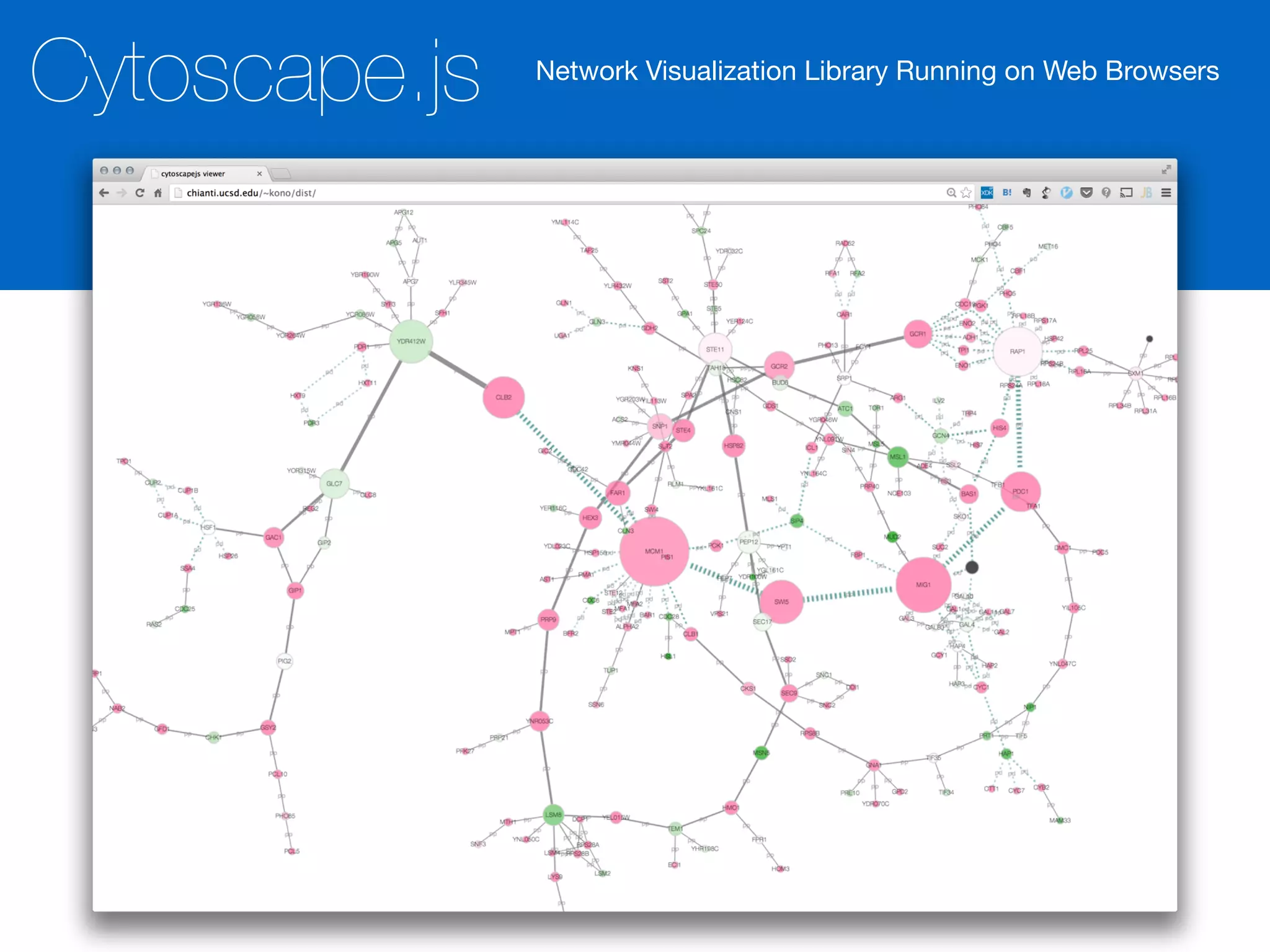 Cytoscape.js Network Visualization Library Running on Web Browsers
 