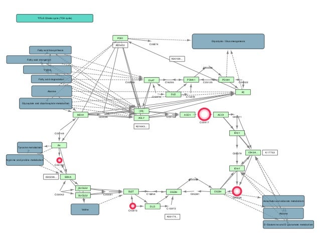 cluego cytoscape tutorial