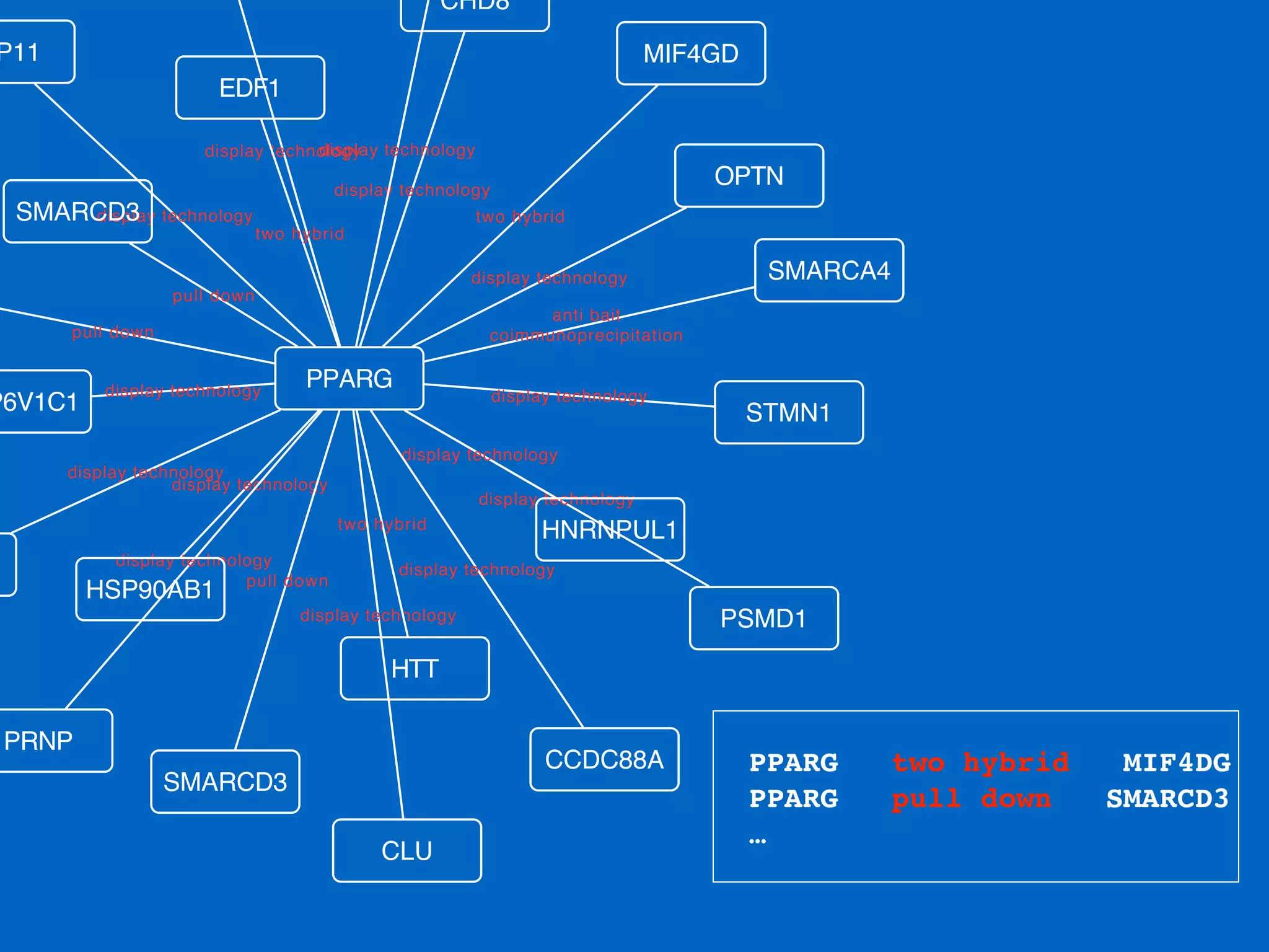 PPARG two hybrid MIF4DG!
PPARG pull down SMARCD3
…
pull down
display technology
display technology
display technology
display technology
display technology
two hybrid
display technology
display technology
display technology
two hybrid
display technology
anti bait
coimmunoprecipitation
pull down
display technology
pull down
display technology
display technology
two hybrid
display technology
display technology
STMN1
PPARG
P6V1C1
SMARCD3
SMARCA4
OPTN
PSMD1
HTT
SMARCD3
CCDC88A
CLU
HNRNPUL1
PRNP
HSP90AB1
EDF1
CHD8
P11 MIF4GD
 