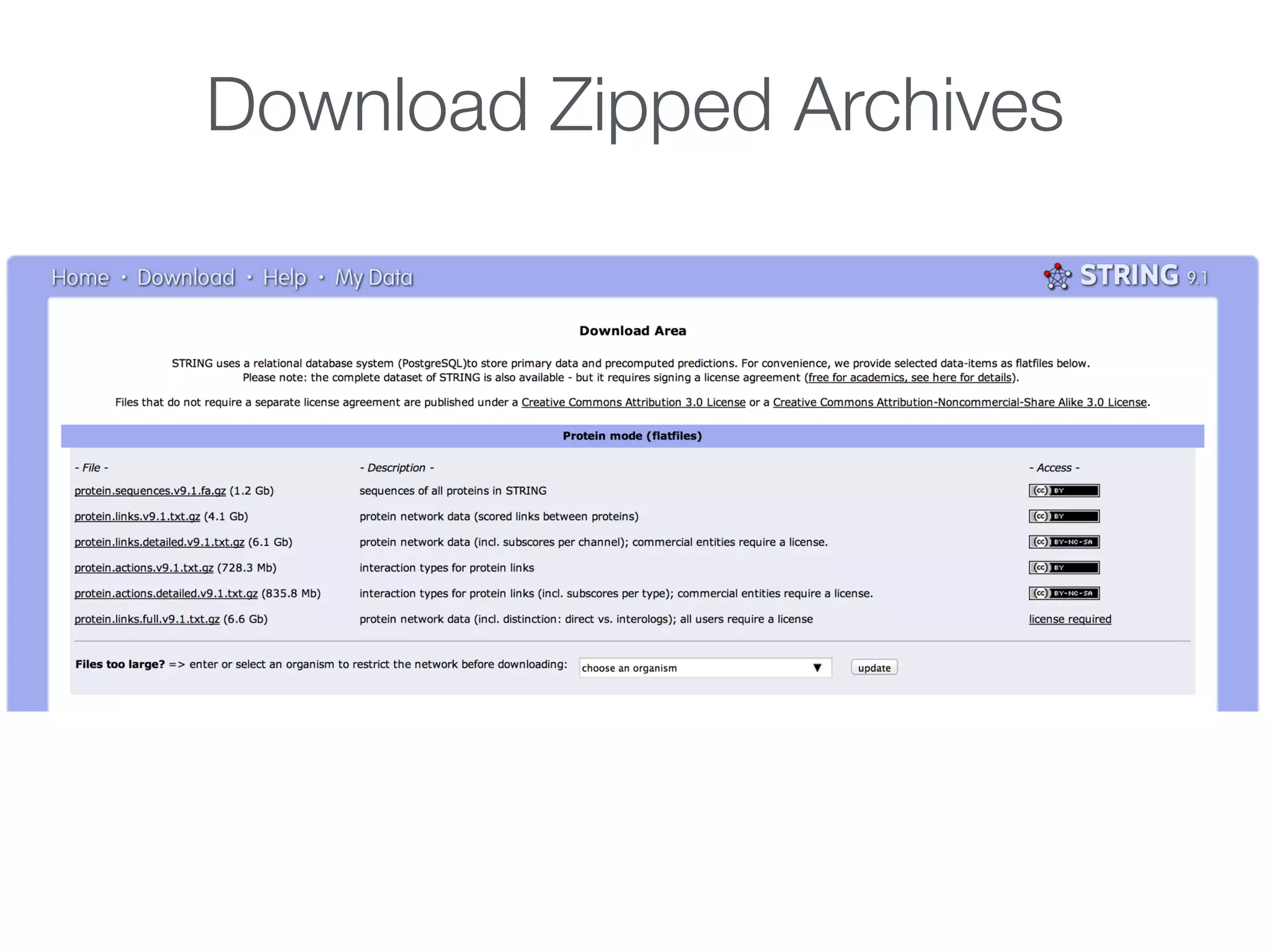 Download Zipped Archives
 