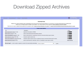 Download Zipped Archives
 