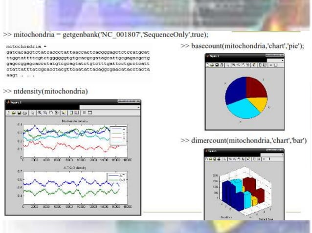 MATLAB Bioinformatics tool box | PPTX