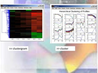 MATLAB Bioinformatics tool box | PPTX