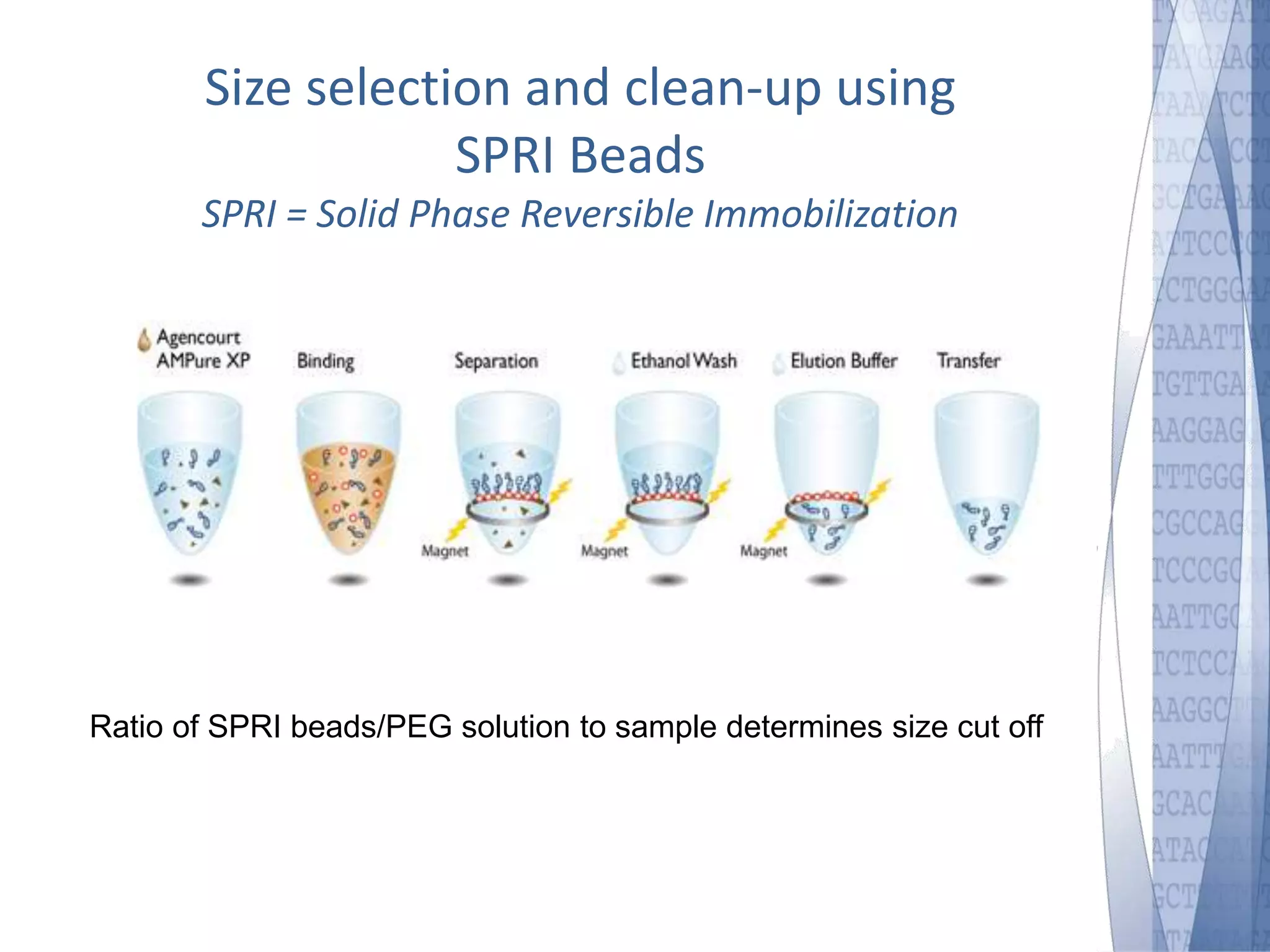 Size selection and clean-up using 
SPRI Beads 
SPRI = Solid Phase Reversible Immobilization 
Ratio of SPRI beads/PEG solution to sample determines size cut off 
 