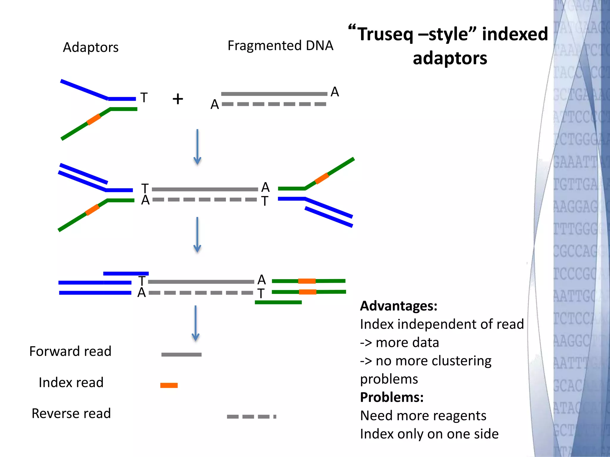 T A 
Fragmented DNA 
A 
+ 
Adaptors 
“Truseq –style” indexed 
adaptors 
Advantages: 
Index independent of read 
-> more data 
-> no more clustering 
problems 
Problems: 
Need more reagents 
Index only on one side 
TA 
AT 
TA 
AT 
Forward read 
Index read 
Reverse read 
 