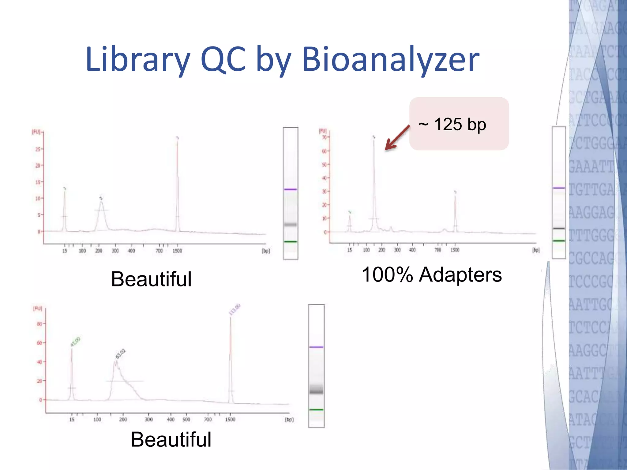 Library QC by Bioanalyzer 
Beautiful 100% Adapters 
Beautiful 
~ 125 bp 
 