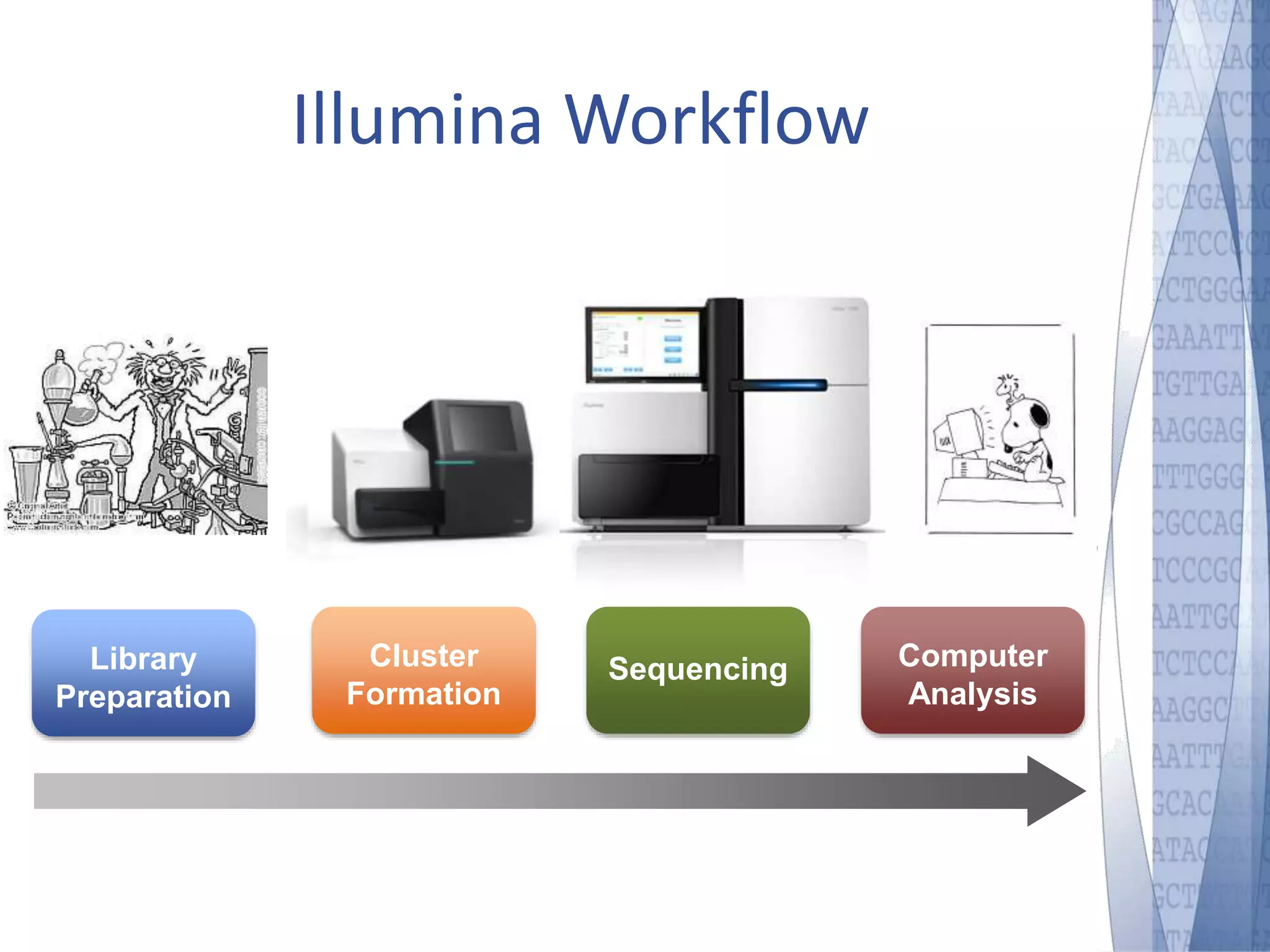 Illumina Workflow 
Library 
Preparation 
Cluster 
Formation 
Sequencing Computer 
Analysis 
 