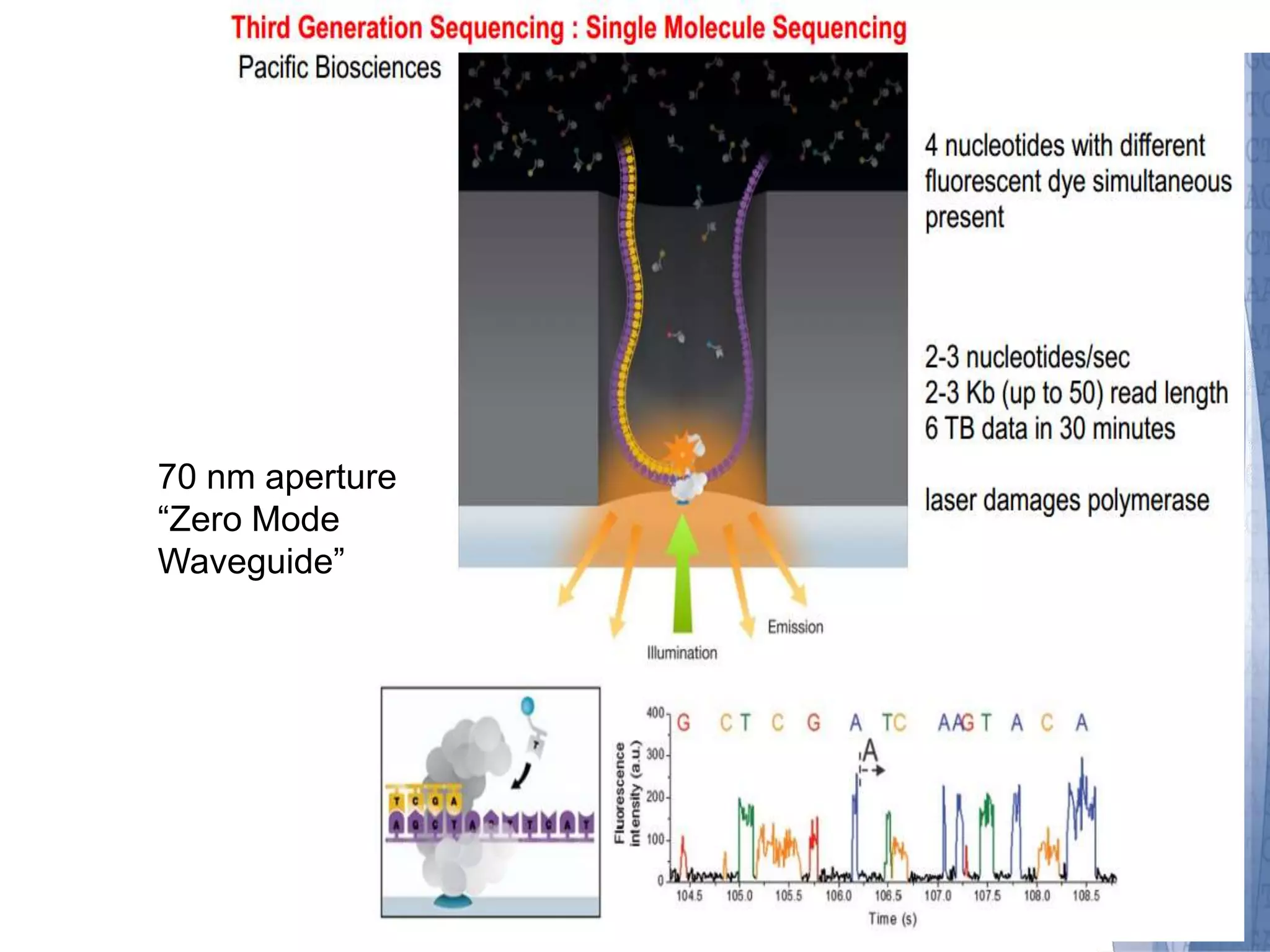 70 nm aperture 
“Zero Mode 
Waveguide” 
 