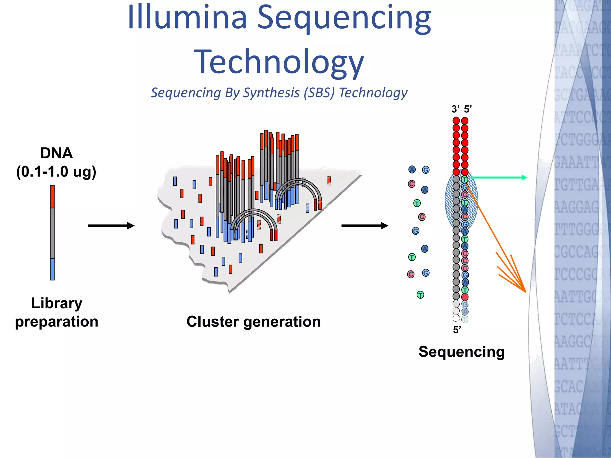 DNA 
(0.1-1.0 ug) 
Illumina Sequencing 
Single molecule array 
Library 
preparation Cluster generation 
3’ 5’ 
5’ 
G 
T 
A 
C 
A 
C 
G 
T 
C 
A 
G 
T 
T 
G 
C 
T 
A 
C 
G 
A 
T 
A 
C 
C 
C 
G 
A 
T 
C 
G 
A 
T 
Sequencing 
Technology 
Sequencing By Synthesis (SBS) Technology 
 