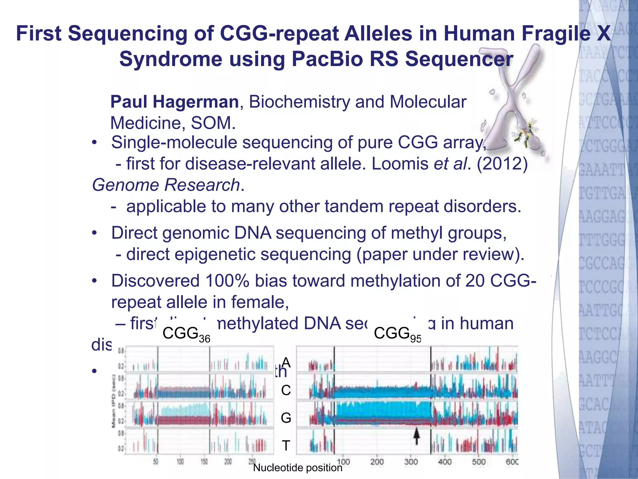 First Sequencing of CGG-repeat Alleles in Human Fragile X 
Syndrome using PacBio RS Sequencer 
Paul Hagerman, Biochemistry and Molecular 
Medicine, SOM. 
• Single-molecule sequencing of pure CGG array, 
- first for disease-relevant allele. Loomis et al. (2012) 
Genome Research. 
- applicable to many other tandem repeat disorders. 
• Direct genomic DNA sequencing of methyl groups, 
- direct epigenetic sequencing (paper under review). 
• Discovered 100% bias toward methylation of 20 CGG-repeat 
allele in female, 
– first direct methylated DNA sequencing in human 
CGG36 CGG95 
disease. 
• DoD STTR award with PacBio. Basis of R01 
applications. 
A 
C 
G 
T 
Nucleotide position 
 