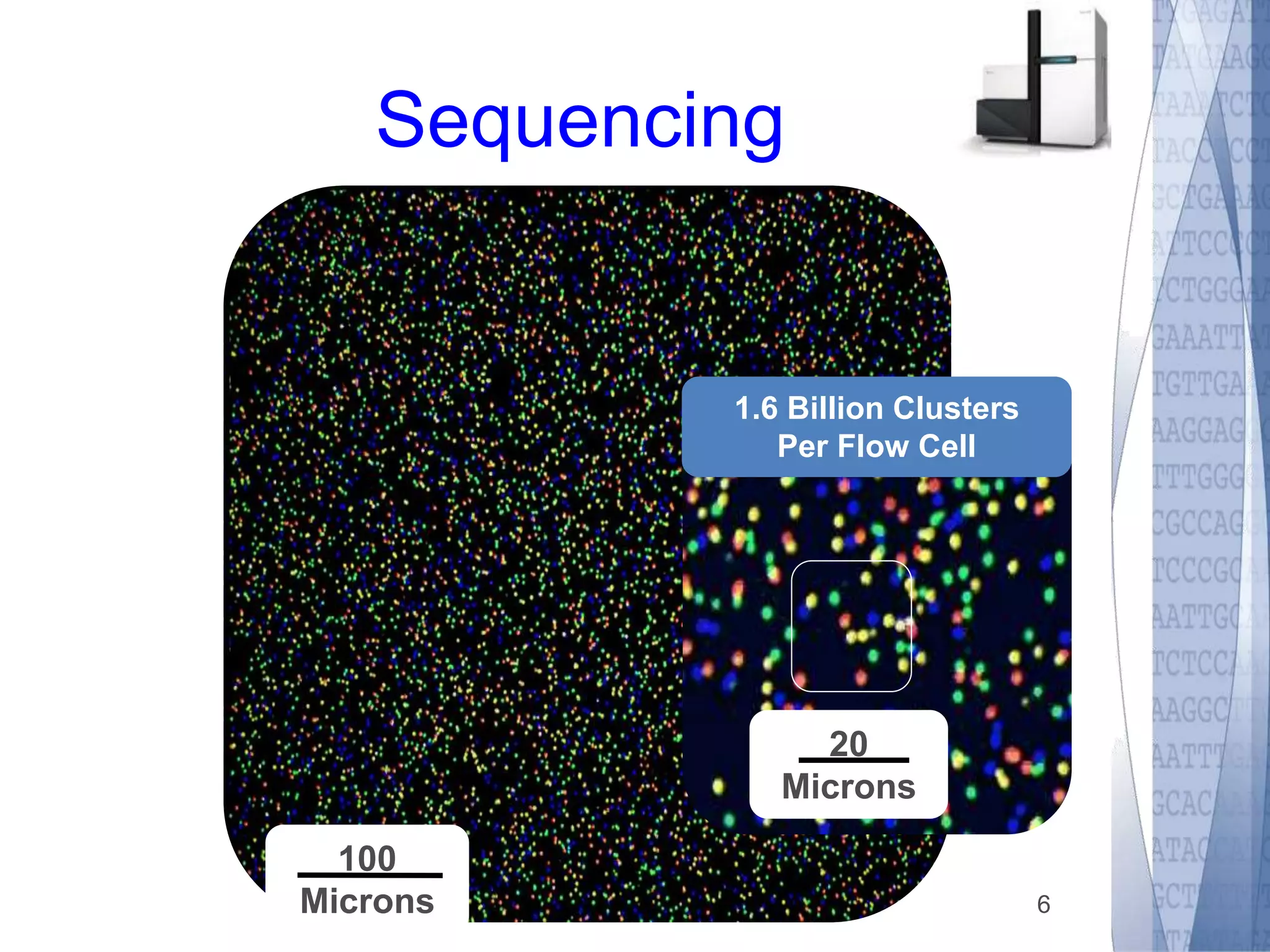 Sequencing 
1.6 Billion Clusters 
Per Flow Cell 
20 
Microns 
100 
Microns 
6 
 