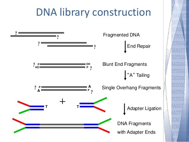 dna sequencing