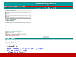 Geneid Lab Bioinformatic tool for Annotation of gene | PPTX